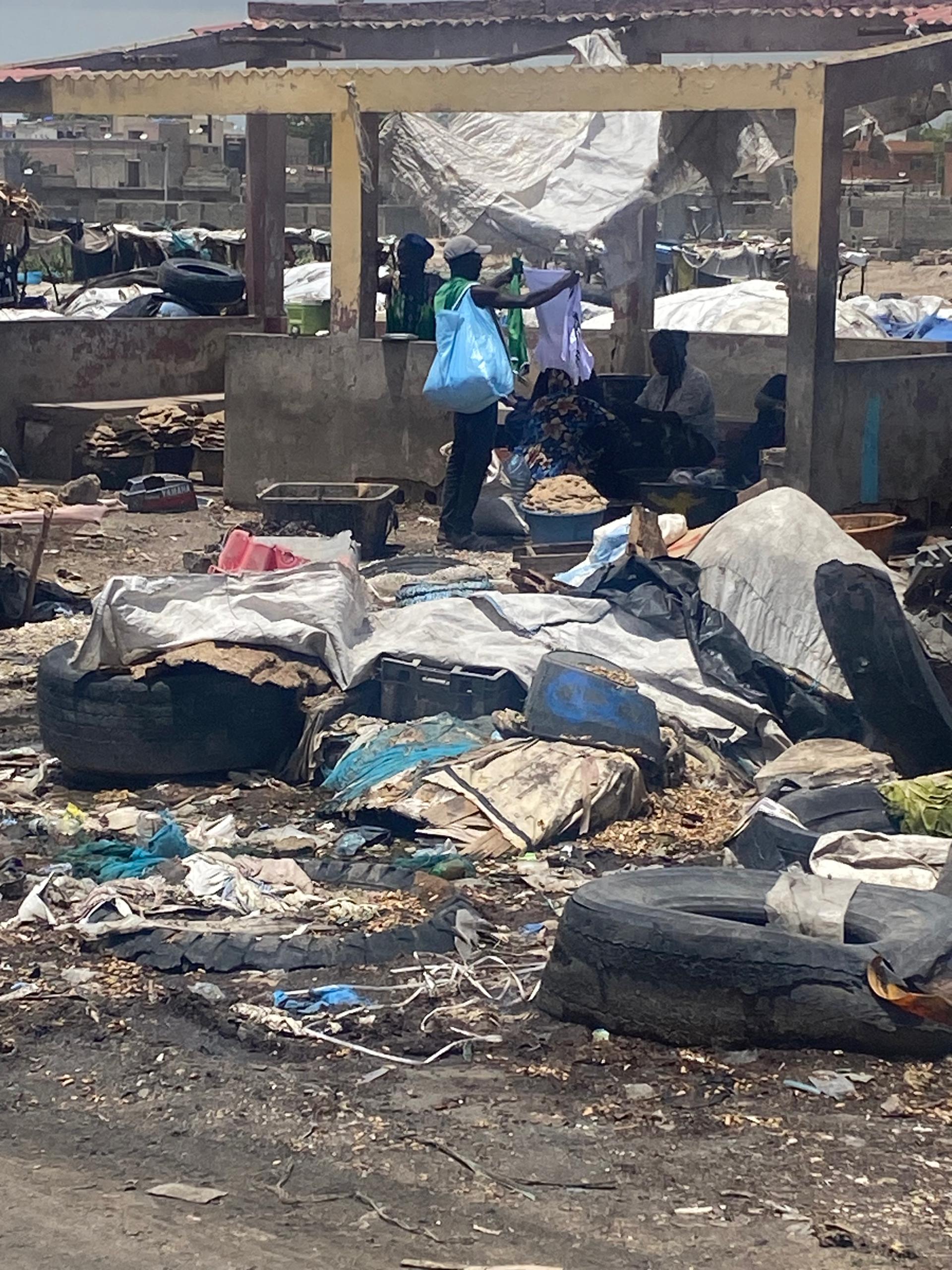 Activités halieutiques